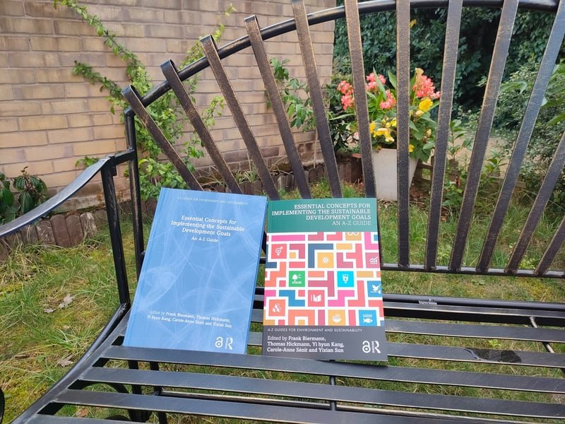 Essential Concepts for Implementing the Sustainable Development Goals book cover